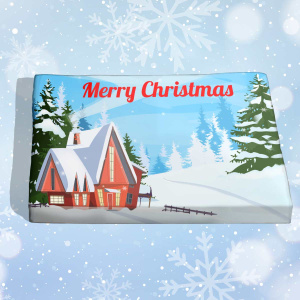 christmas house in the woods