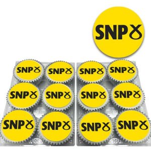 snp logo product pic